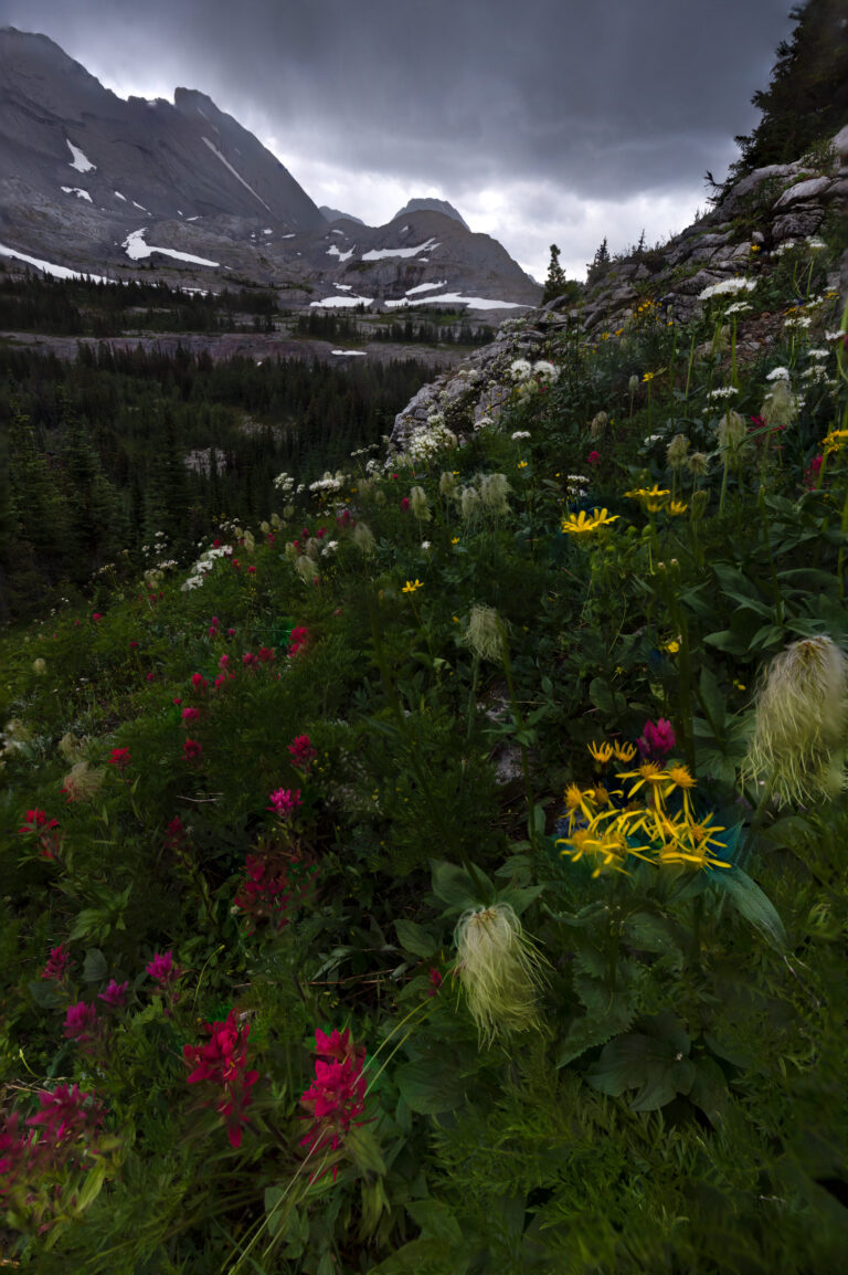 Burstall Pass 08-22 (1)