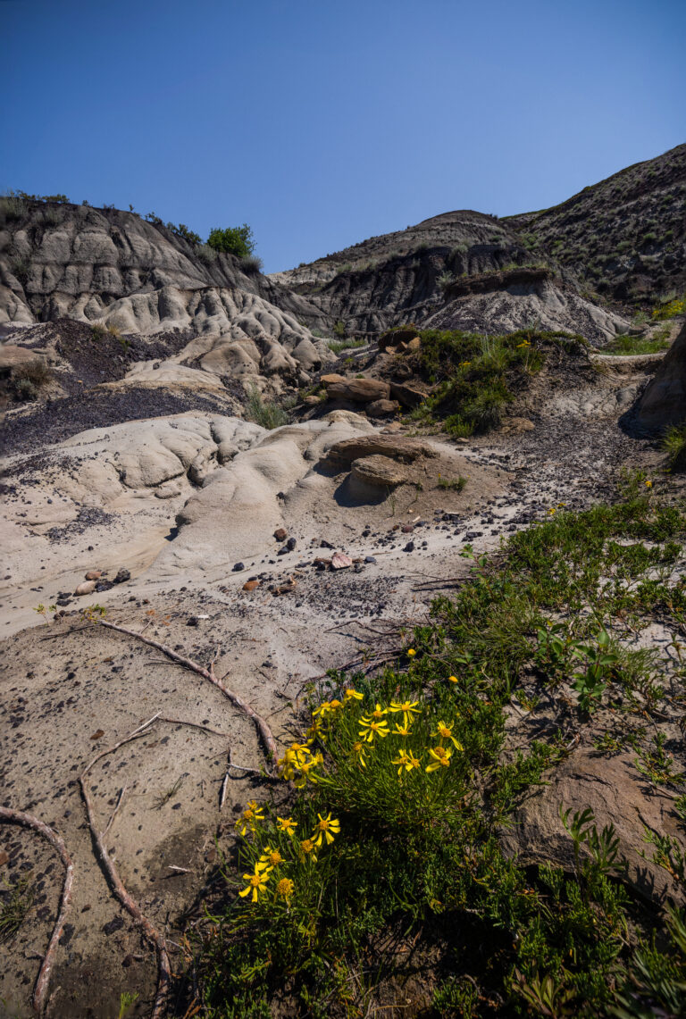 Horseshoe Canyon, AB 07-22 (3)